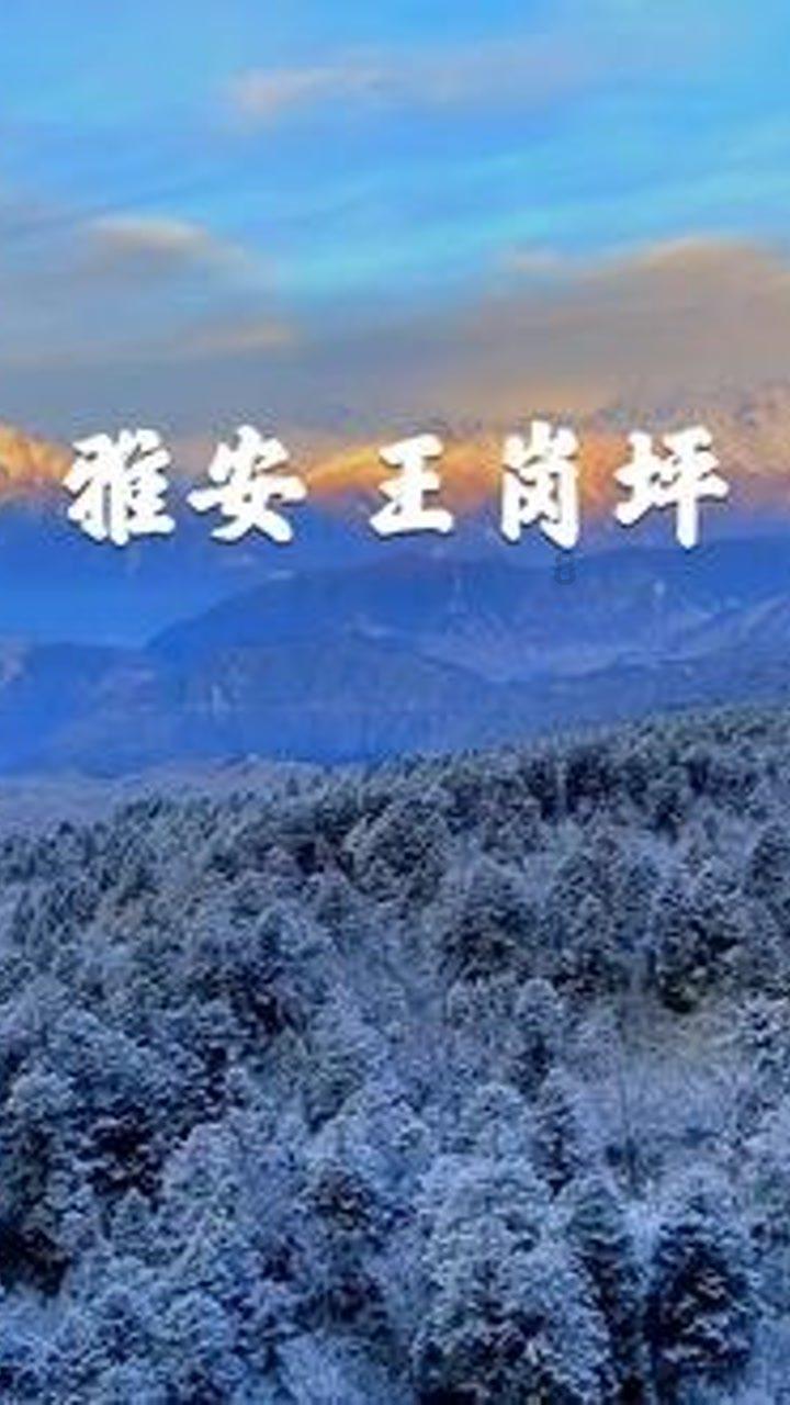 小猫钓鱼游戏龙王版有船