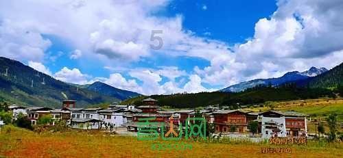 虫虫助手下载