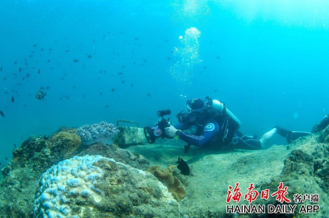 博班辞职抗议切费林：他不顾一切推进他的个人愿望