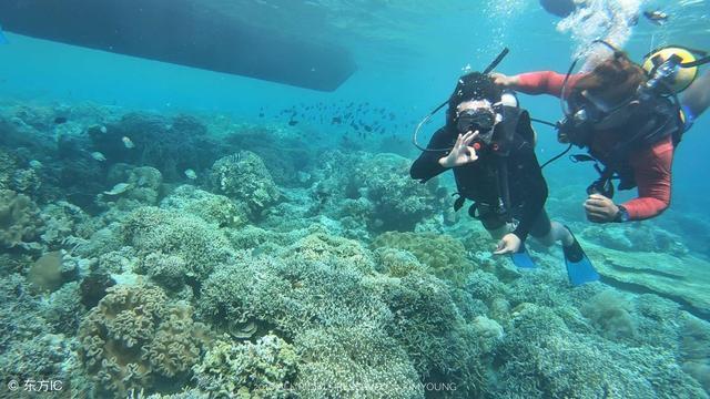 流放骑士
