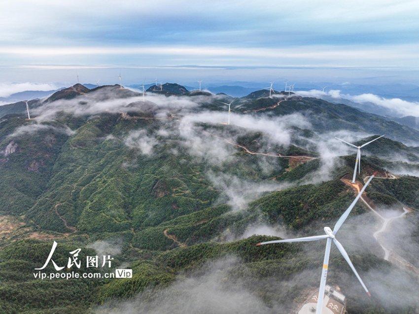 春联正确贴法游戏画面