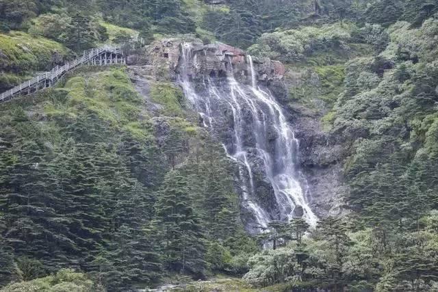 小矮怪挖金矿