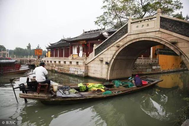 特种突击聪明的顺溜
